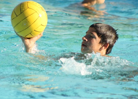 Junior Maxim Grinfeld holds the water polo ball above the water as he is about to pass it to a nearby teammate.