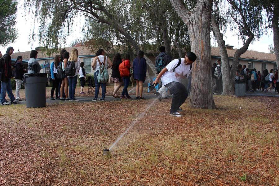 During+todays+Fiesta+Friday%2C+The+Groves+sprinklers+spontaneously+turned+on%2C+surprising+the+students+and+faculty.+Photo+by+Jake+Dobbs.