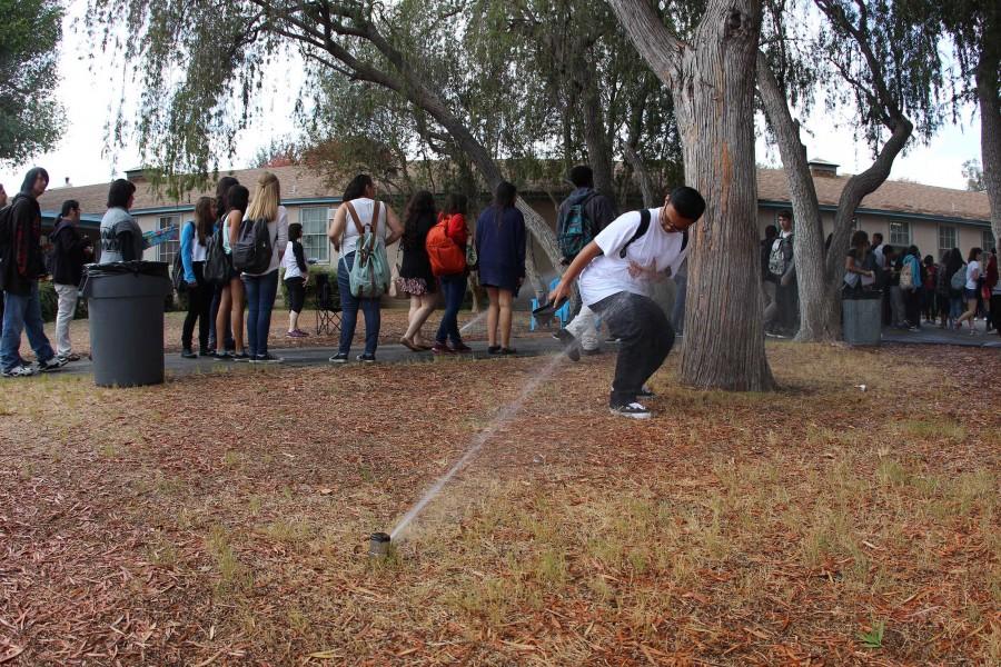 During today's Fiesta Friday, The Grove's sprinklers spontaneously turned on, surprising the students and faculty. Photo by Jake Dobbs.