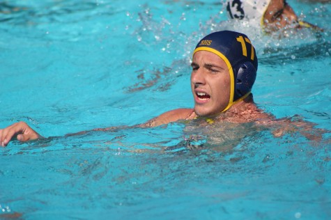 Senior Anthony Dracic swims around searching for the ball during a practice game at BCCHS. Photo by Jordan Timsit
