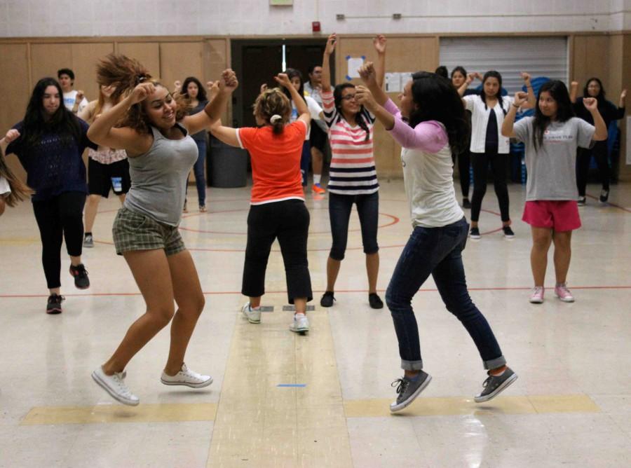 Dance+class+brings+diversity+to+school