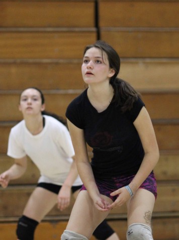 Junior Lissa Favela sets up to bump the ball