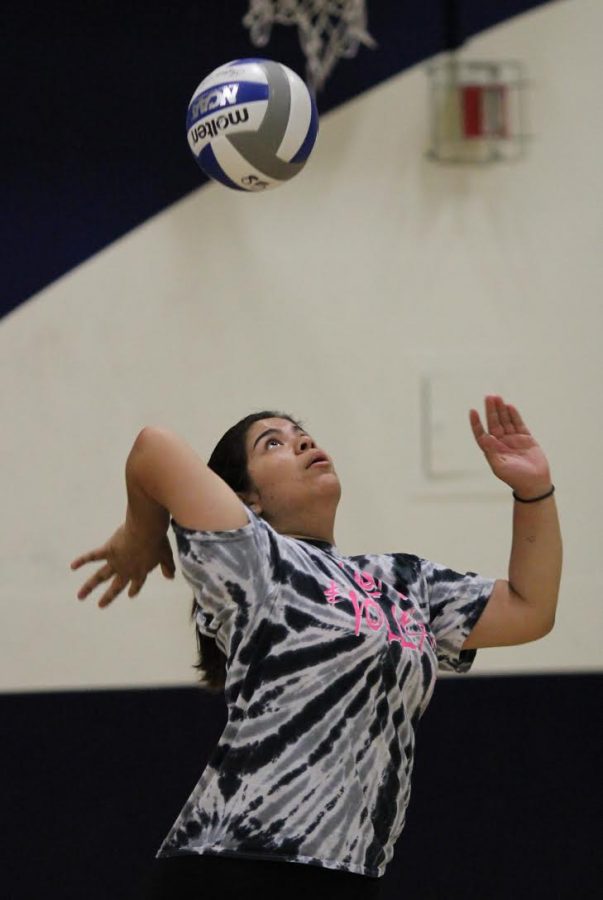 Junior Jessica Salguero prepares to serve the ball to the other side of the court.