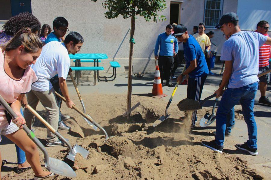 Students plant trees with Los Angeles Beautification Team