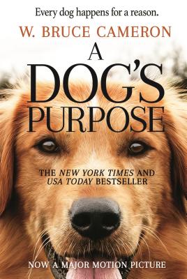 Photo from ADogsPurpose.com
A Dogs Purpose debuts in theatres on Jan. 27.