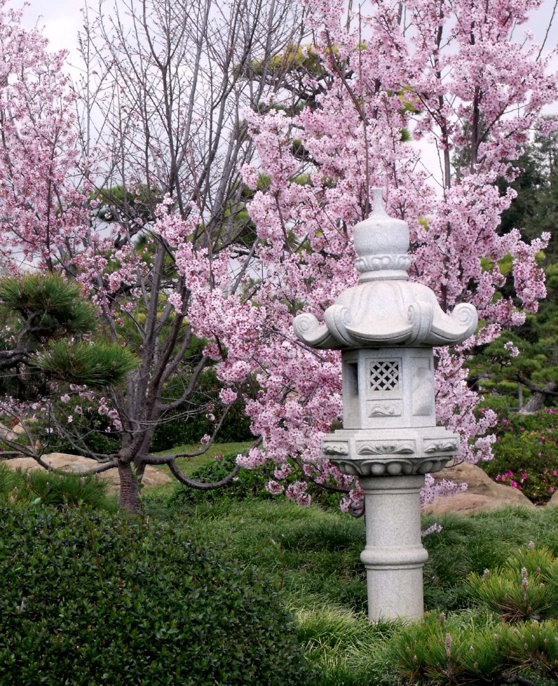 The Japanese Gardens creates a tranquil and beautiful setting to spend time with family and friends