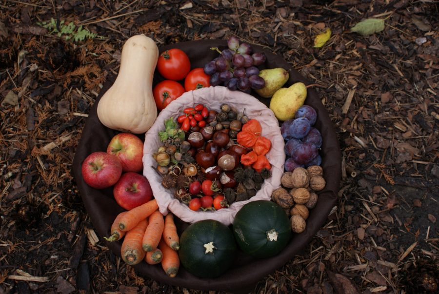 Behind the scenes of a thankful feast