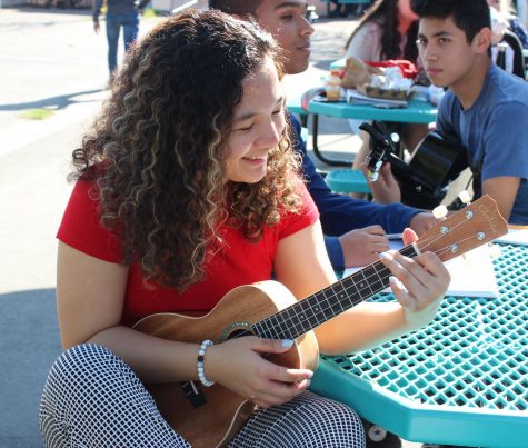 Junior Ceejay Posis practices her ukulele during lunch on Jan. 18. 