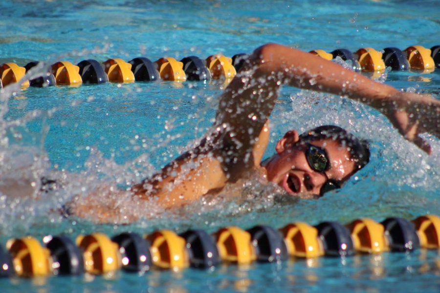 Junior Benjamin Sanchez start his final lap of the boys varsity 500m freestyle on April 3 against Granada Hills Charter High School.