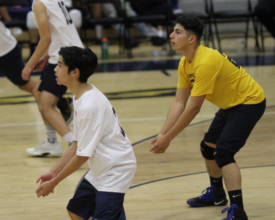 Juniors David Mallari and Aaron Garcia prepare to return the volleyball in their match against Grover Cleveland Charter High School boys volleyball team.