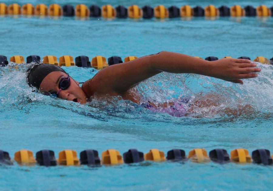 Sophomore Amelia Sanchez performs freestyle during BCCHS swim practice on Feb. 27. 