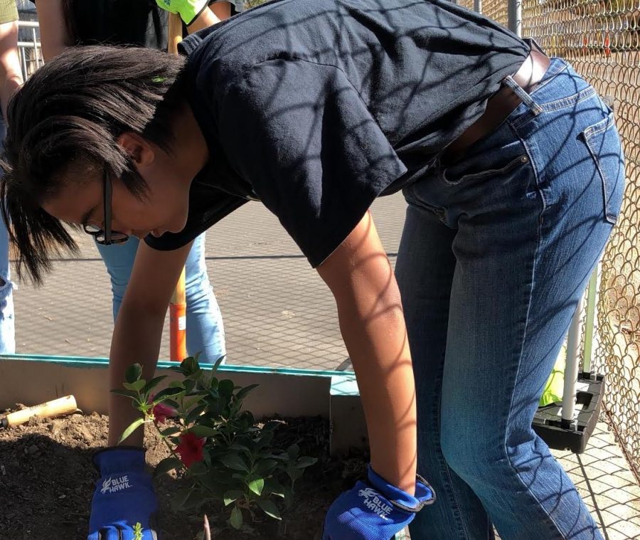 Freshman Naamah Silcott digs a space for flowers to be planted as part of Sparkle Saturday on Nov. 9.
