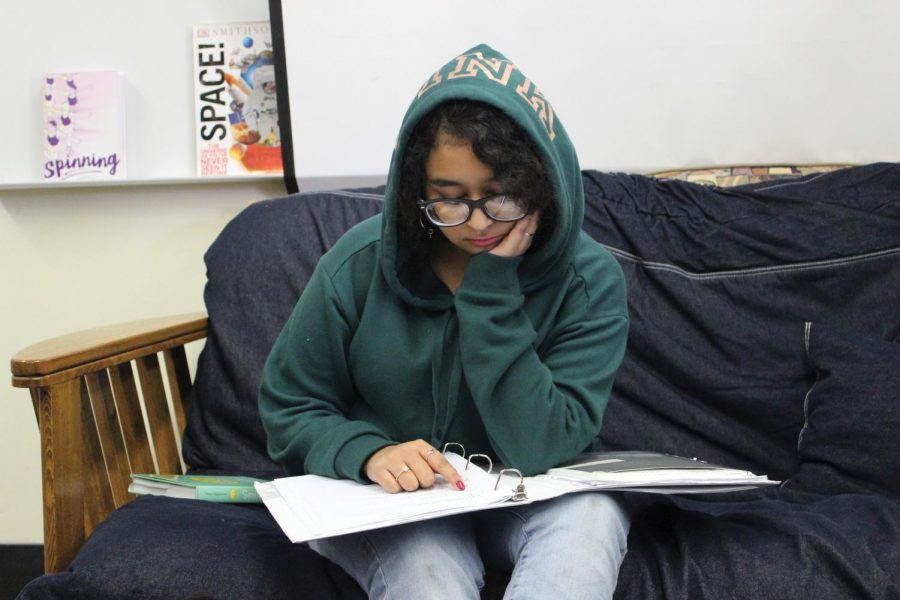 Junior Ariana Islam studies for finals at the library on Dec. 5.