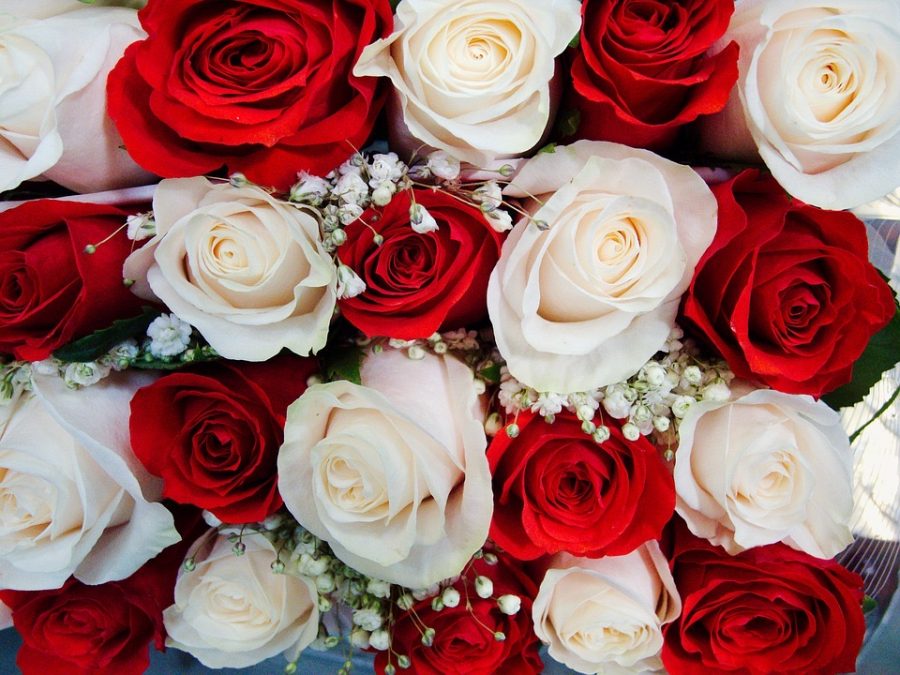 A bouquet of red and white roses symbolizes togetherness and unity. Most commonly it is used to communicate the sacredness of a relationship.  