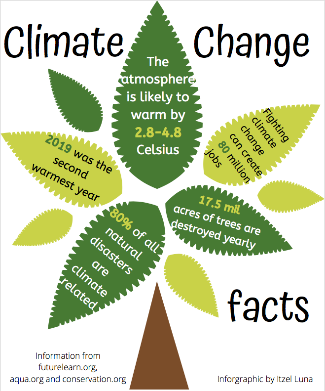 Climate change has massively impacted our environment as 2019 was reported the second warmest year on record. 