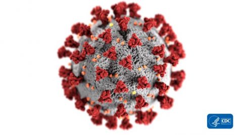 This illustration was created by the Center for Disease Control and Prevention in 2020. This drawing shows the ultrastructural morphology of the coronaviruses.