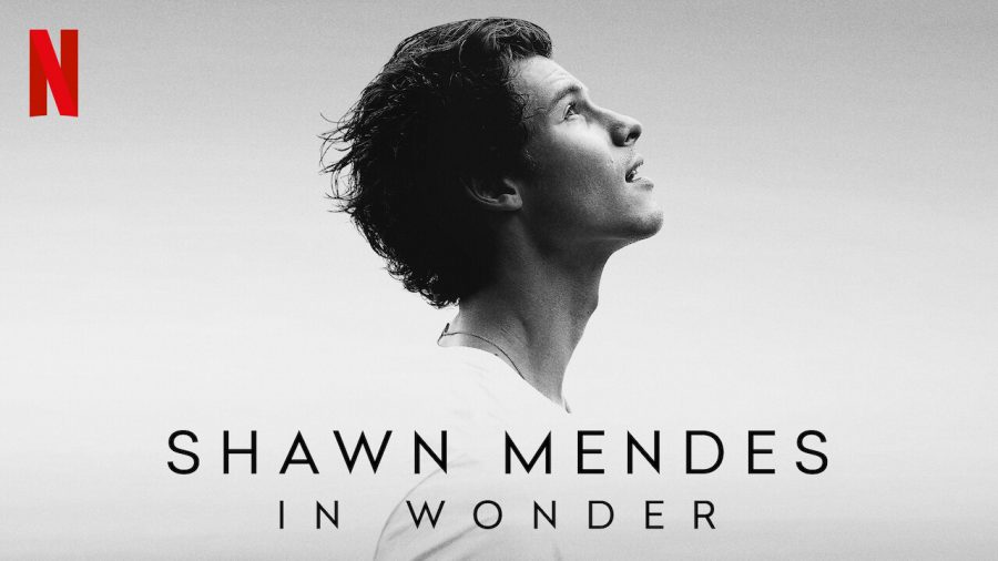 Singer+song-writer+Shawn+Mendes+gives+us+insight+into+the+limelight+and+takes+us+on+what+his+life+began+as+and+what+it+has+become+in+his+documentary+coming+to+Netflix+on+Nov.+23.