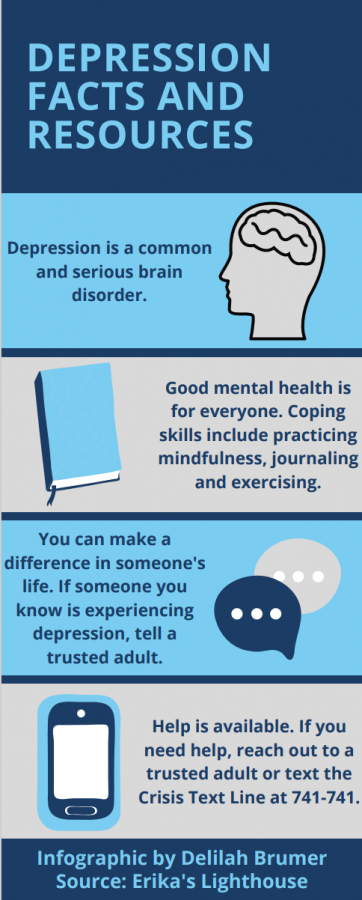 Erikas Lighthouse is a program that teaches students about depression, coping skills and more. The program is run by psychiatric social worker Joanne Tuell during advisory periods.