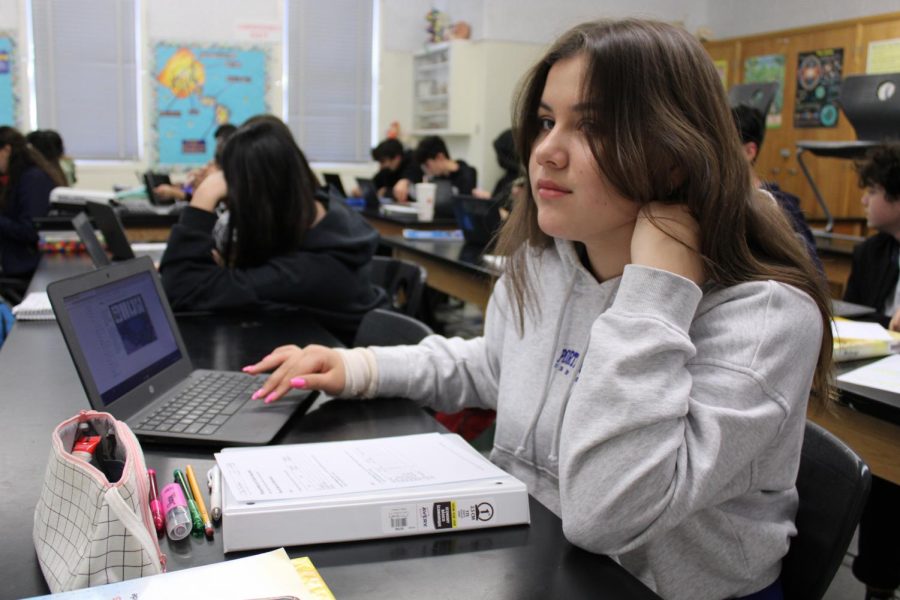 Freshman Alisa Kaharchanko works on her computer during biology on Jan. 26. 