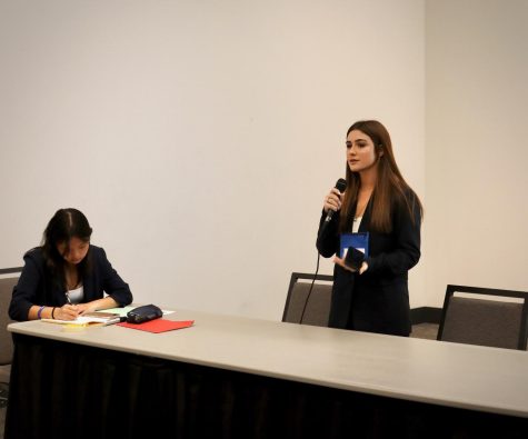 Junior Maggie Simonyan presents her solution proposal for medical malpractice in front of the National Assembly delegation on Feb. 12 in Sacramento. Simonyans solution entailed lobbying Congress to renew the Medical Liability Reform Act of 1991.