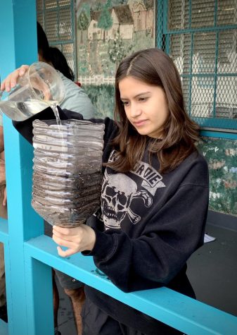 Senior Camila Valqui drains water through a soil-filled bottle on Sept. 12 to prepare for a 
three-month long lab in AP Environmental Science (APES). Students in James Morrison’s period 2 APES course created a
mini ecosystem using soil, sand and empty water jugs as part of an ecosystem
analysis lab. 