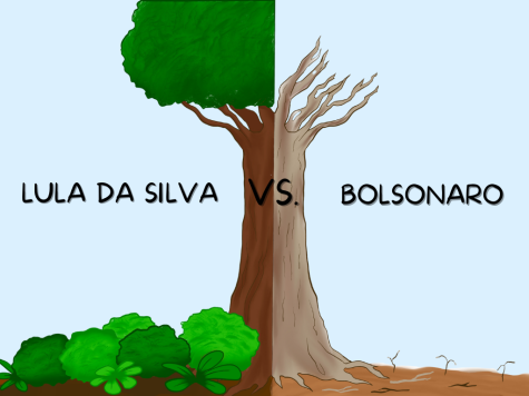 The 37th President of Brazil, Jair Bolsonaro, subjected the Amazon rainforest to exploitation by illegal miners and loggers during his term from 2019 to 2022. This year, Luiz Inácio Lula da Silva was reelected as Brazil’s first three-term president and is the one we can rely on to halt the extended deforestation of Brazil’s rainforest.