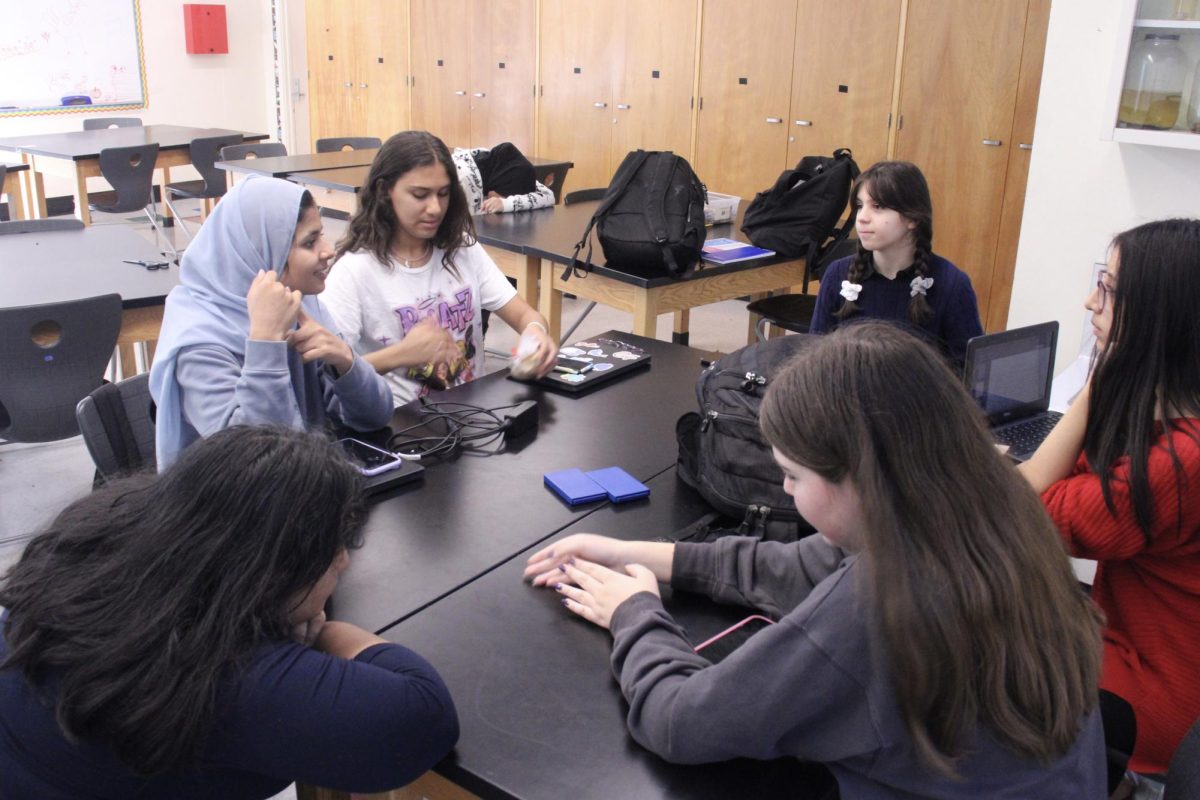 Medical Club President Behishta Safi leads a group discussion on Nov. 17. The club met in Room 6 and planned for a speaker to visit the club in the upcoming months, as well as discuss possible volunteer opportunities.